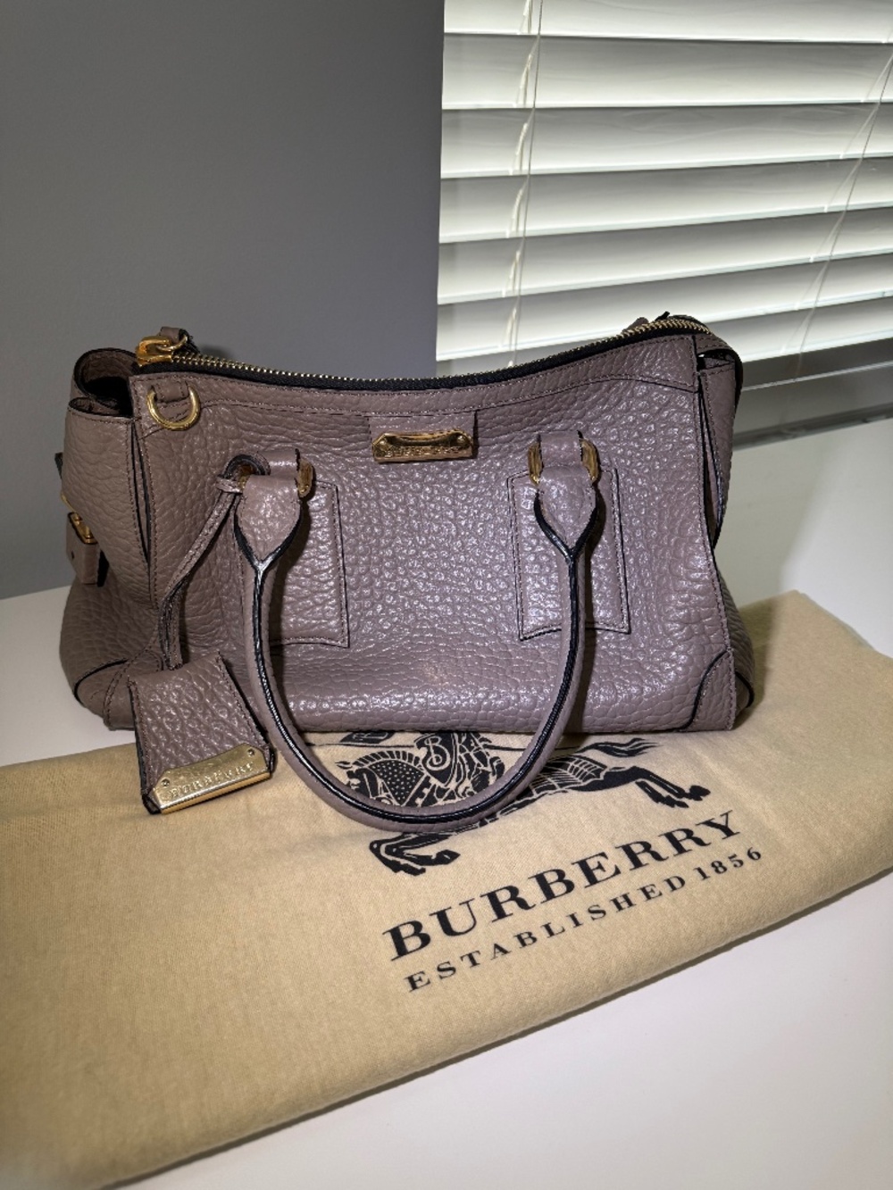 Burberry Bag